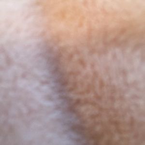 Meet your Posher, Libbie